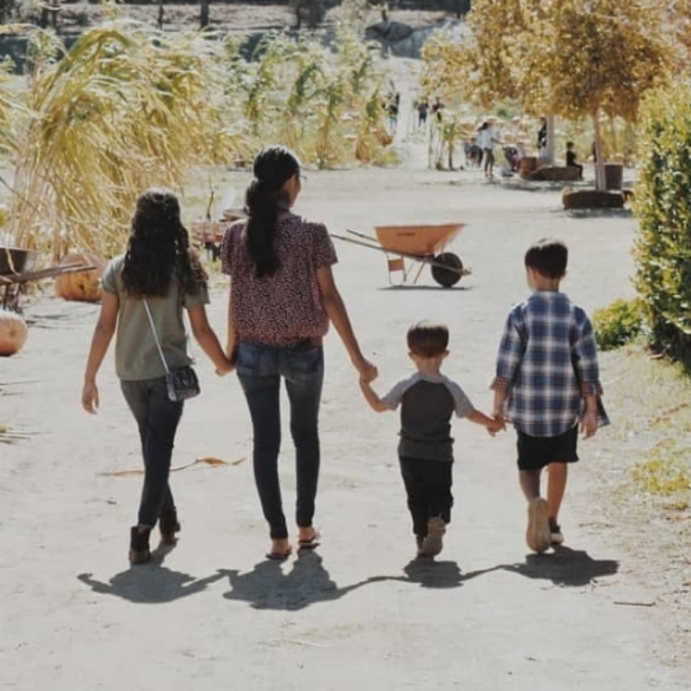 Meet your Posher, Luz